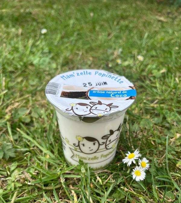 YAOURT AROMATISE  COCO